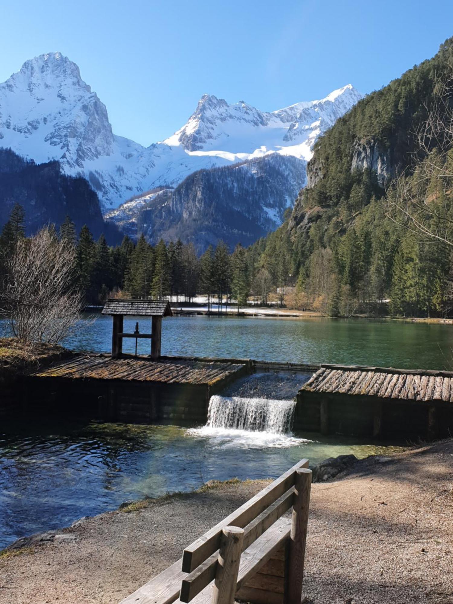 Pension Alpenhaus Vorderstoder المظهر الخارجي الصورة