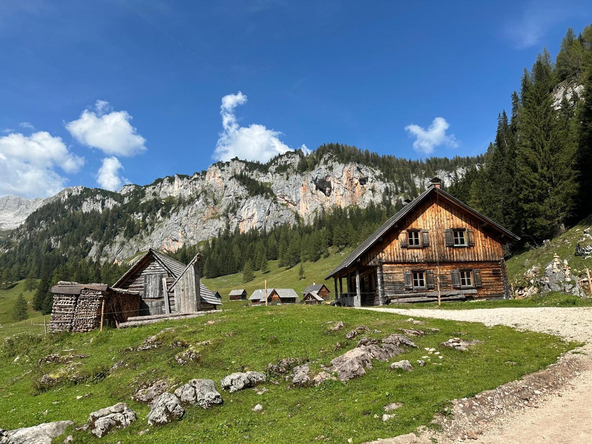 Pension Alpenhaus Vorderstoder المظهر الخارجي الصورة