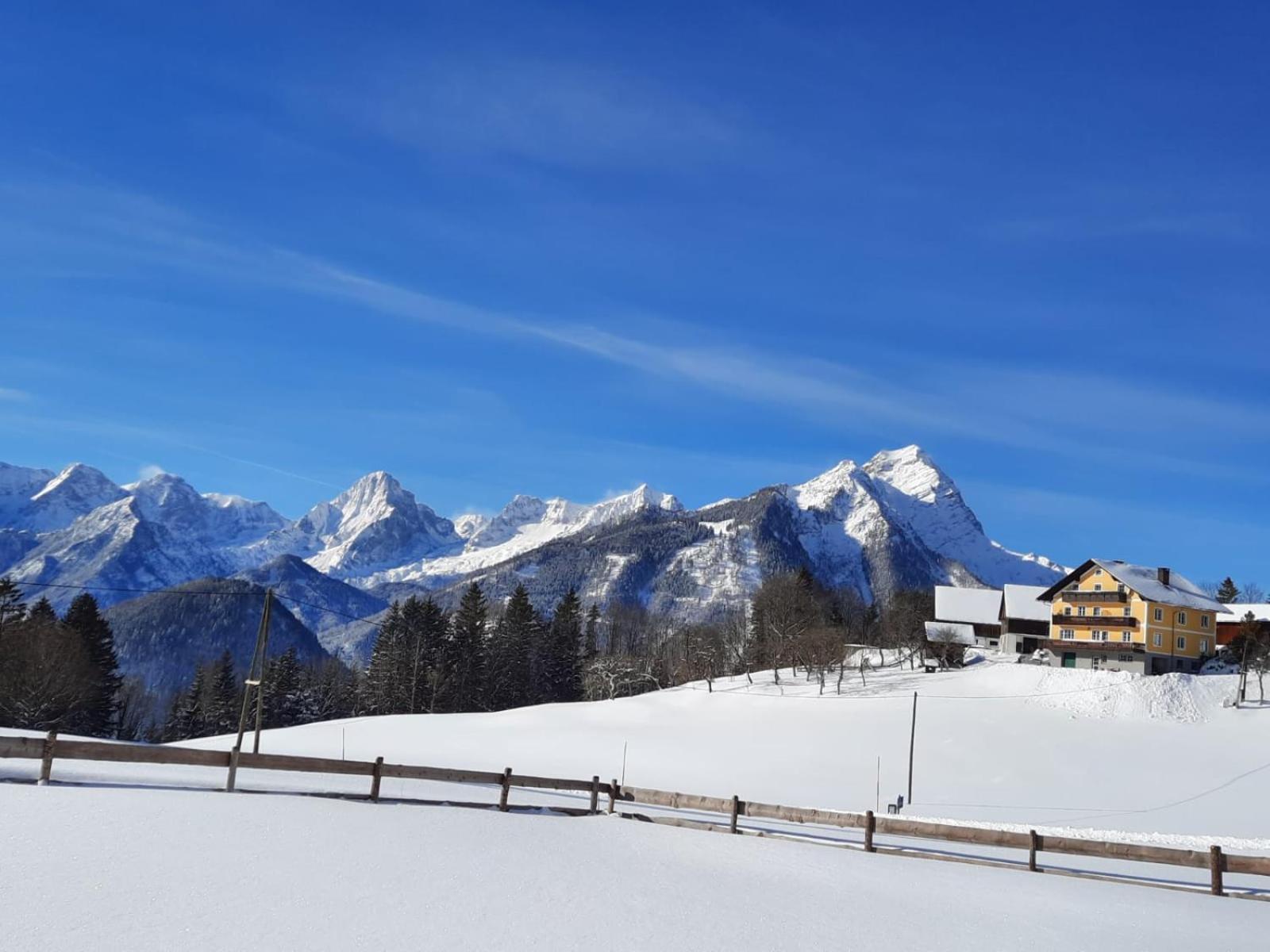 Pension Alpenhaus Vorderstoder المظهر الخارجي الصورة