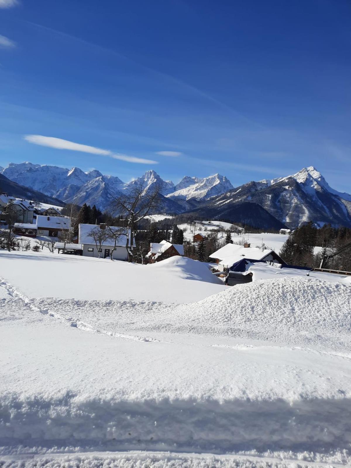 Pension Alpenhaus Vorderstoder المظهر الخارجي الصورة