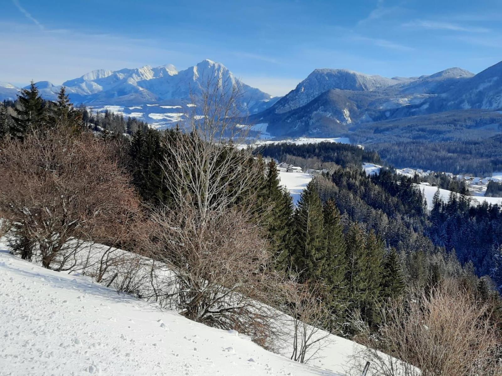 Pension Alpenhaus Vorderstoder المظهر الخارجي الصورة